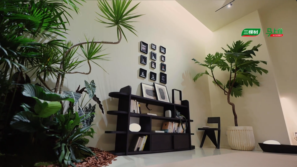 明星同款理想家来了！三棵树 × 抖音《心动的房子》，高颜值的家究竟什么样子？