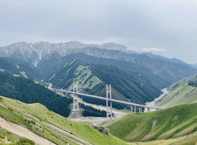 三棵树以创新助推工业涂料国产化