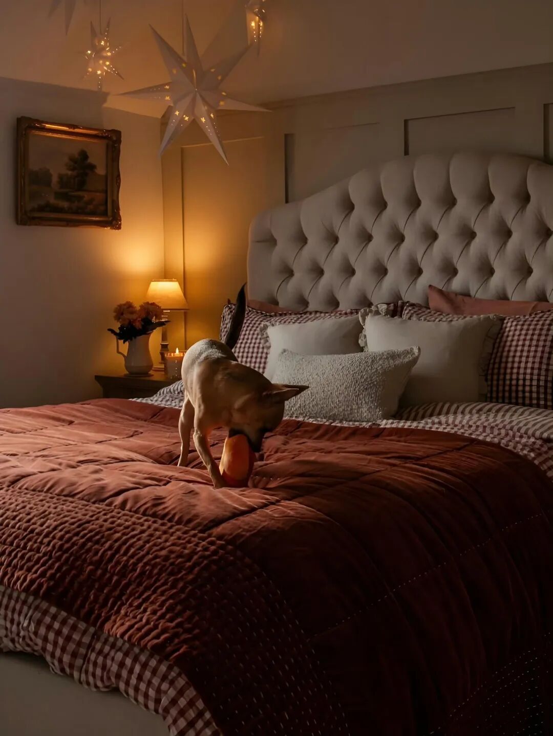 把温柔的爱酿进日常里