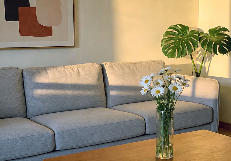 “功能分区模糊化”，打造灵活多变的居家空间