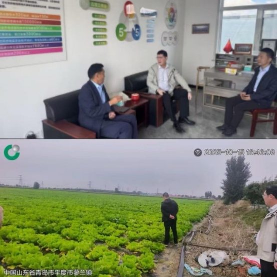 中国人寿财险青岛市分公司：“科技防控+专家助力”筑牢农险风险防线 