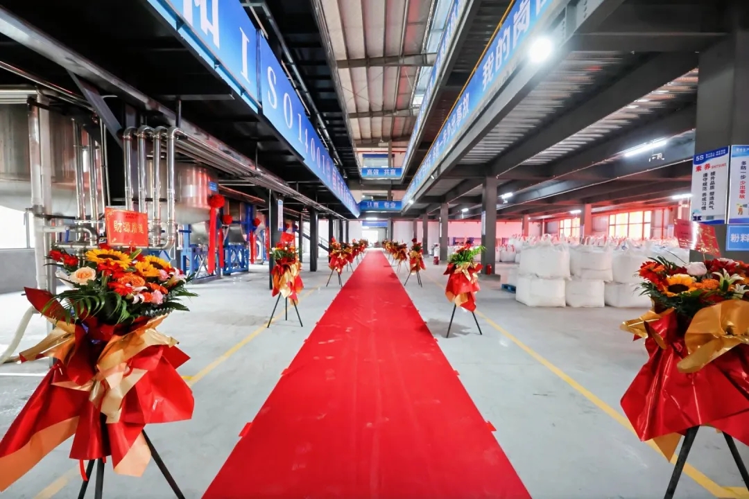 产能翻倍·智造升级！好仕迪鹤山新厂启幕，从此不止“雅晶石小王子”